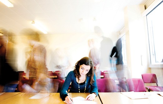 The Mouse in the Room: “Where’s the Planning for People?” - Risk and ...