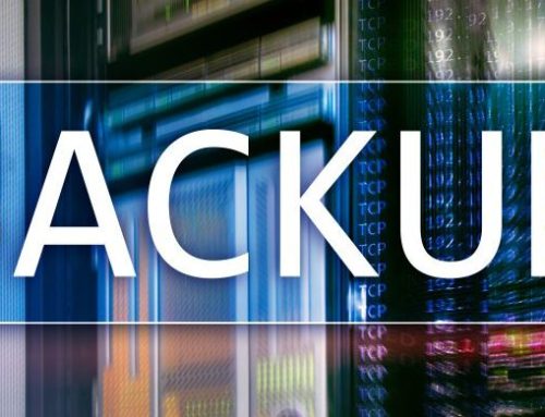 Data Loss Statistics that Prove Every Business Needs a Backup Solution