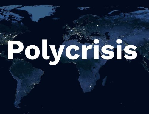 Polycrisis – The Current State of the World